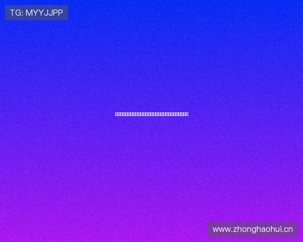 乐鱼网页版登录入口新版优化方案，提升用户登录速度与安全保障